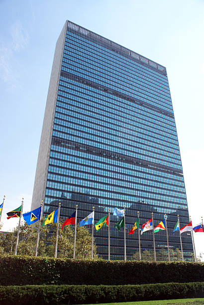 The United Nations building with various flags The UN building beneath clear skies, reflecting New York office buildings in its windows. unicef photos stock pictures, royalty-free photos & images