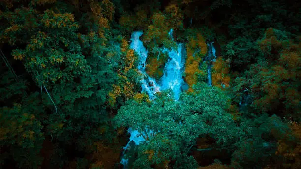 Photo of Geba forest in oromiya ethiopia