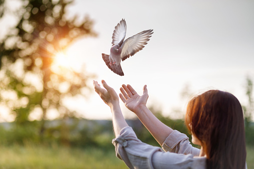 A dove flies into the hands of a woman during prayer as a symbol of hope.