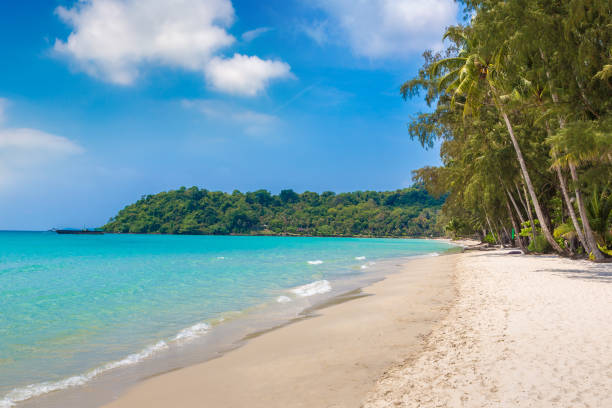 istock Beach at Koh Kood island 1341899517