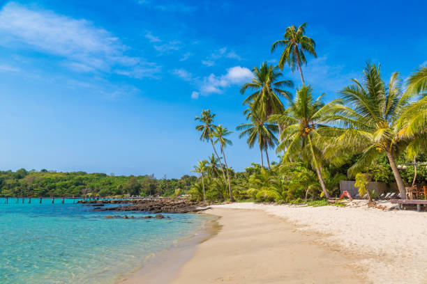 istock Beach at Koh Kood island 1341899625