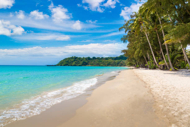 istock Beach at Koh Kood island 1341899665