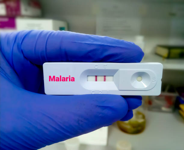 istock Rapid diagnostic test for Malaria with a positive result. Rapid test cassette 1341899669