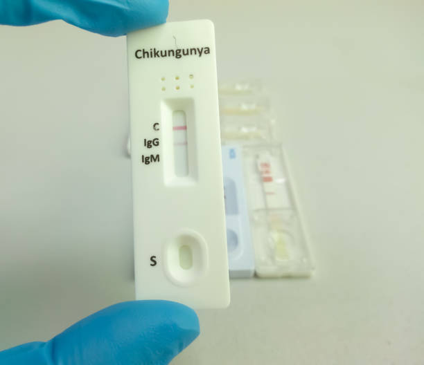 istock Close view of technician or technologist hand hold a device of chikungunya IgG, IgM rapid screening test, showing positive IgG result. 1341899763