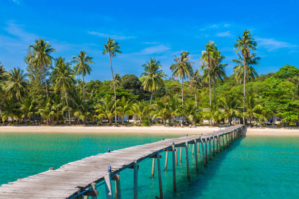 istock Wooden jetty (bridge) to beach 1341900275
