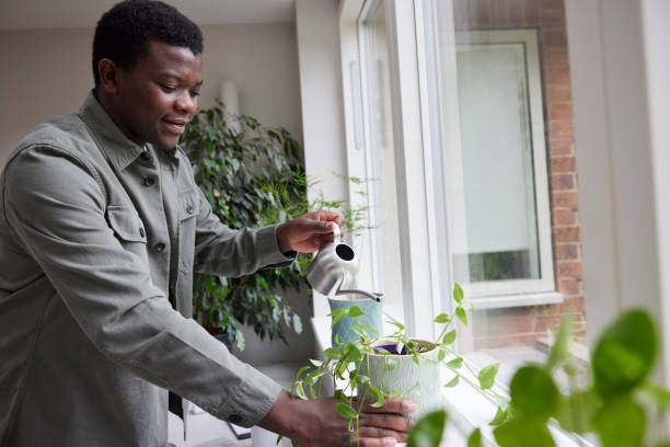 istock Young Man At Home Watering Plants In Office 1341903452