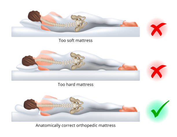 ilustrações, clipart, desenhos animados e ícones de escolhendo um colchão ortopédico para dormir - posição correta e incorreta do sono ao lado, ilustração vetorial. - wrong side