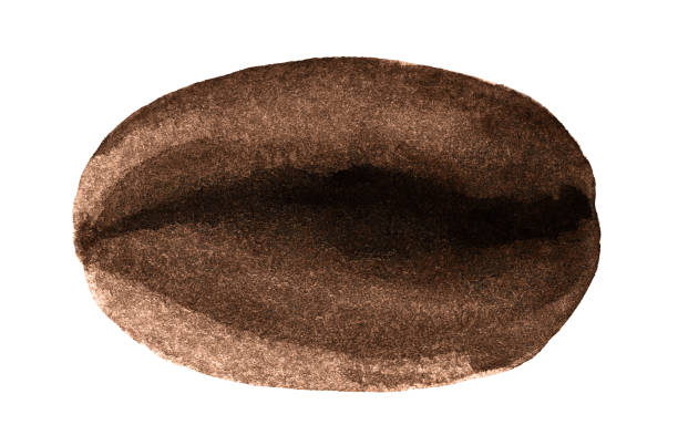 istock coffee beans watercolor hand drawn, coffee beans black or brown 1341903810