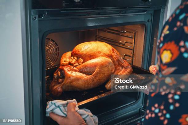 Stuffed Turkey For Thanksgiving Holidays Stock Photo - Download Image Now - Turkey - Bird, Turkey Meat, Oven