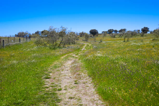 istock Via de la Plata way in Extremadura Spain 1341908074