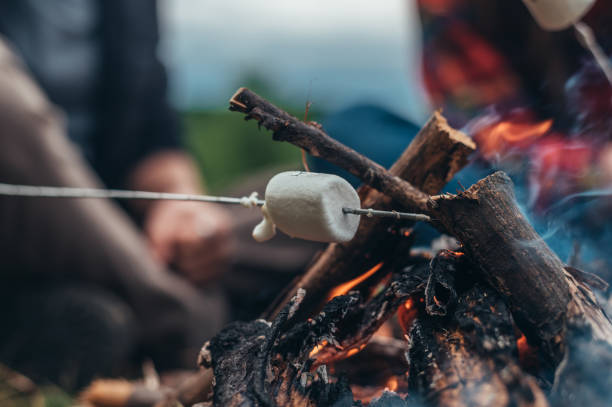 istock Close shot of a marshmallow on a stick above the camp fire 1341908116