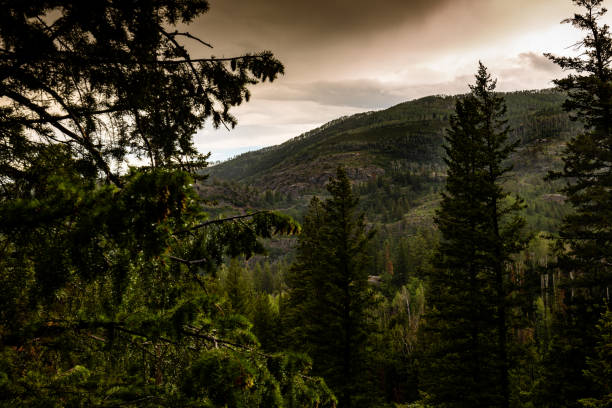 istock Storm on the Horizon in the Rocky Mountains 1341908275