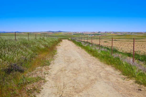 istock Via de la Plata way in Extremadura Spain 1341908308