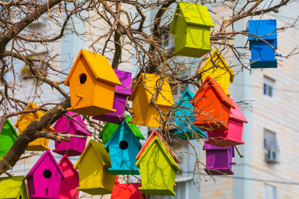 istock Many bright multicolored birdhouses on a mandarin tree 1341910550