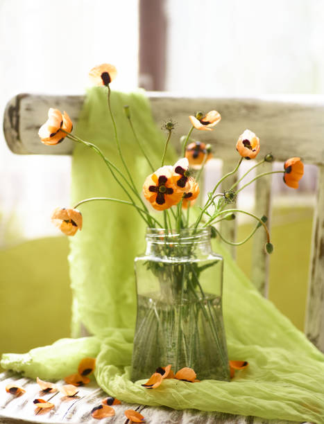 istock A Little Red Poppies Bouquet Arranged In Classical Style 1341911792