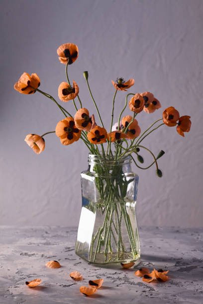 istock A Little Red Poppies Bouquet Arranged In Classical Style 1341911815