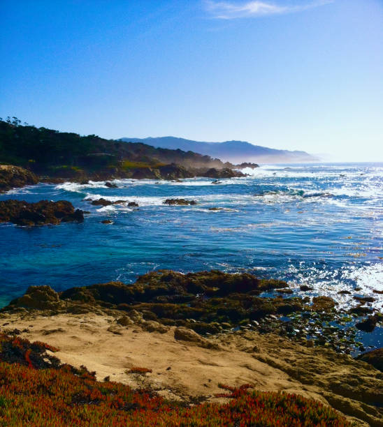 istock California Coastline 1341911943