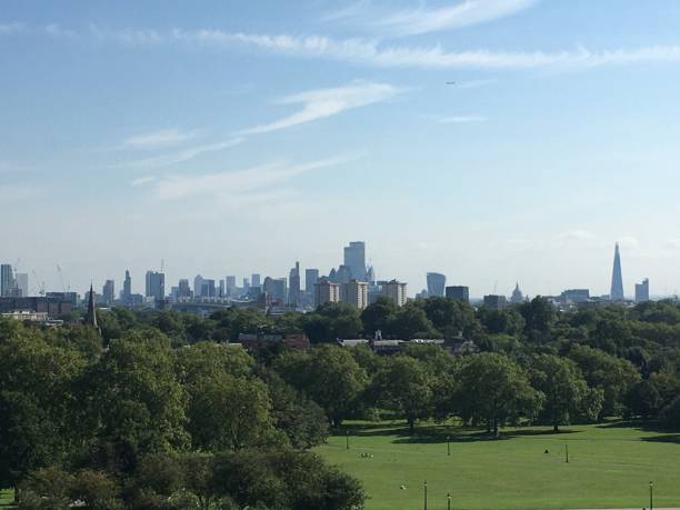 istock City from the park 1341915657