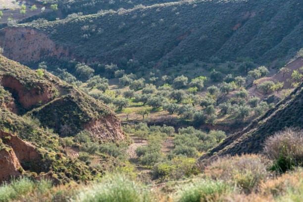 istock mountainous landscape in southern Spain 1341915743