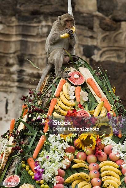 Buffet For Monkey Stock Photo - Download Image Now - Monkey, Traditional Festival, Buffet