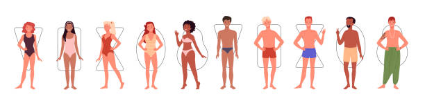 Different people body shape types infographic vector illustration set. Cartoon diverse group of man woman characters in underwear or swimsuits, constitution comparison of women men isolated on white. Different people body shape types infographic vector illustration set. Cartoon diverse group of man woman characters in underwear or swimsuits, constitution comparison of women men isolated on white african american male model stock illustrations