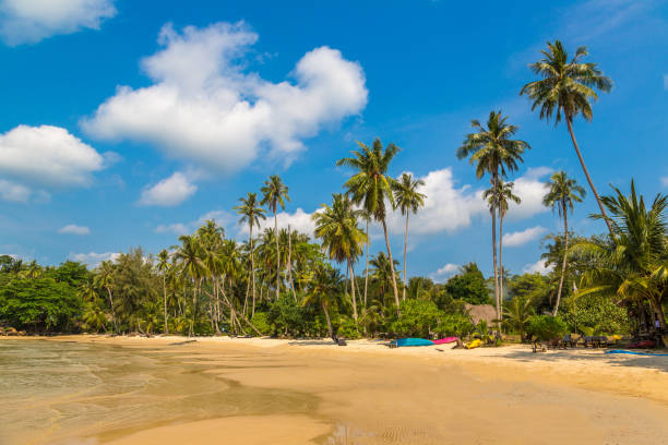 istock Tropical beach at summer day 1341917070