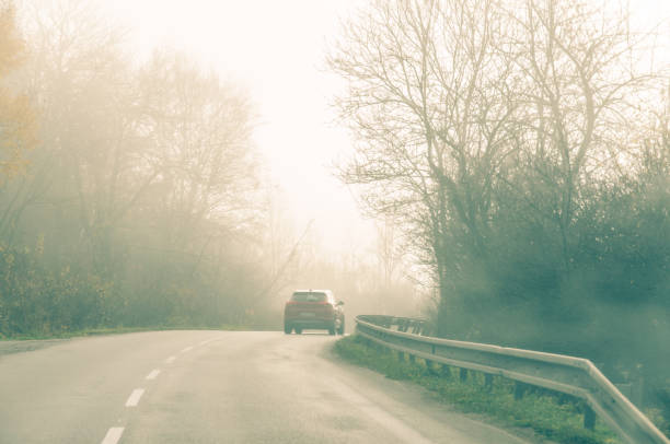 istock cars in scary misty road through forest 1341919297