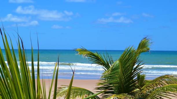 istock Bahia Brazil Beach impressions 1341921221