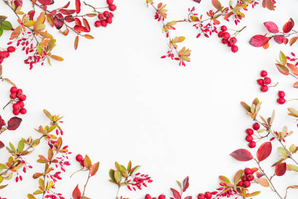 istock Flat lay frame with colorful autumn leaves and red berries on a white background 1341922721