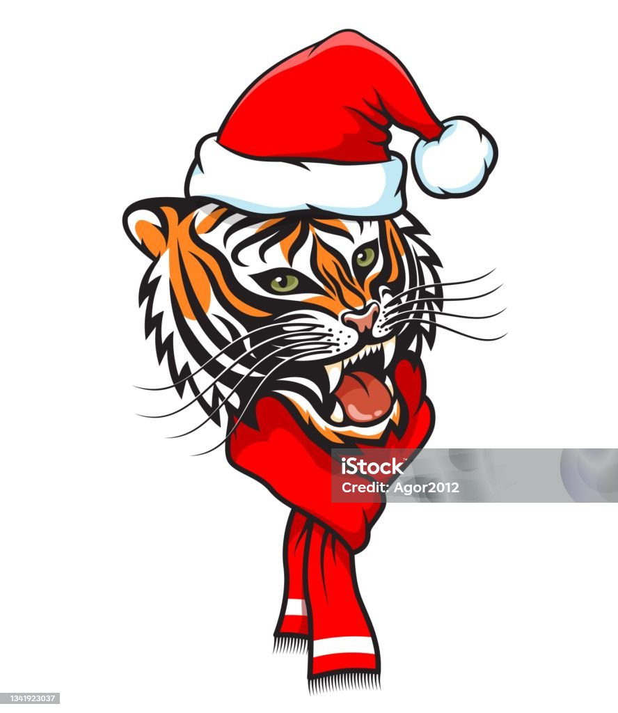 Hổ Đội Mũ Ông Già Noel Hổ Báo Năm Mới Hình minh họa Sẵn có - Tải ...