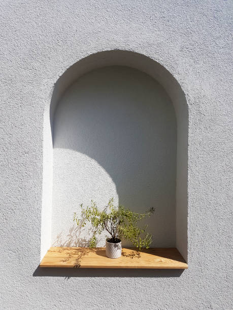 istock Flower pot with green leaves in a wall niche 1341923377