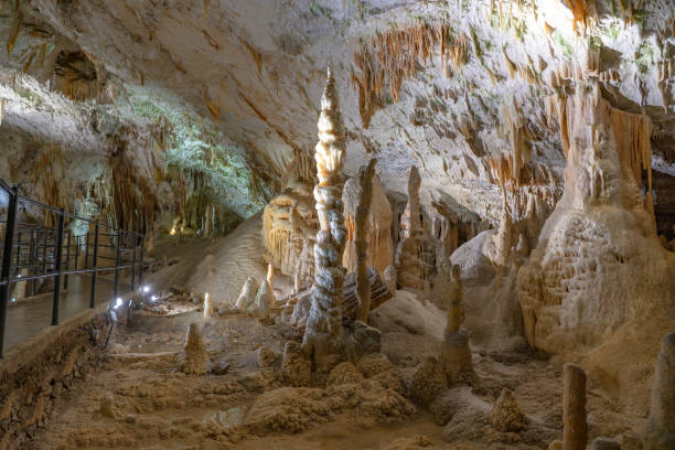 erkundung der schönen postojna höhle slowenien die meistbesuchte europäische höhle - stalagmite stock-fotos und bilder