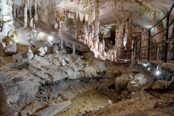 아름다운 포스토이나 동굴 슬로베니아가장 많이 방문하는 유럽 동굴 탐험 - postojna 뉴스 사진 이미지