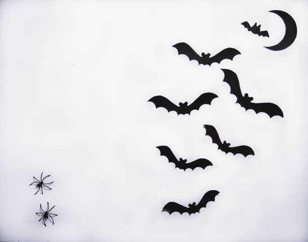 istock halloween and decoration concept - black paper bats flying over white background 1341925987