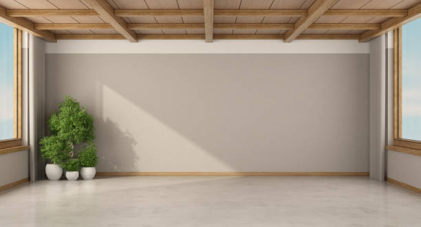 istock Empty room with houseplants and wooden ceiling 1341926195