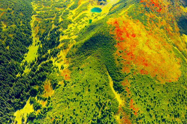 Aerial photo by drone copter Svidovets ridge mountains, lakes Vorozheska, Apshinets, Dogyaska and autumn panorama of green forests, red blueberries and lingonberries, roads and trails