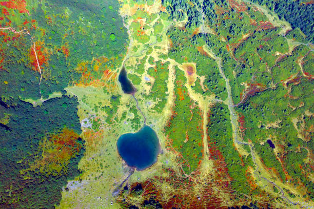 Aerial photo by drone copter Svidovets ridge mountains, lakes Vorozheska, Apshinets, Dogyaska and autumn panorama of green forests, red blueberries and lingonberries, roads and trails