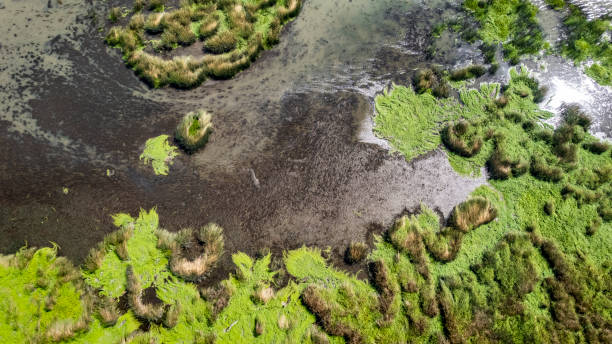 istock Sherman Island Sacramento Delta 1341927005