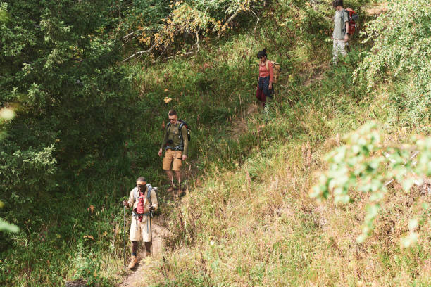 istock Group of active young multi-ethnic people with bags moving down hill while hiking together in autumn 1341927273