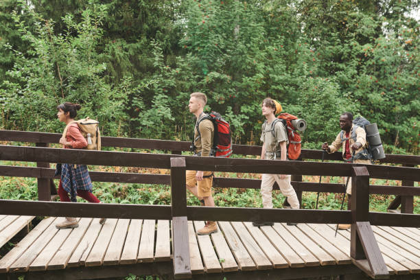 istock Group of young multi-ethnic hikers with backpacks walking in line on bridge while hiking in forest 1341927681