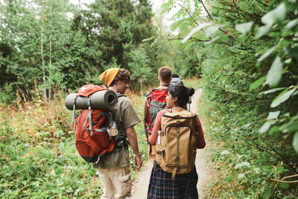 istock Rear view of young people with backpacks walking along path in forest and talking during hike 1341927718