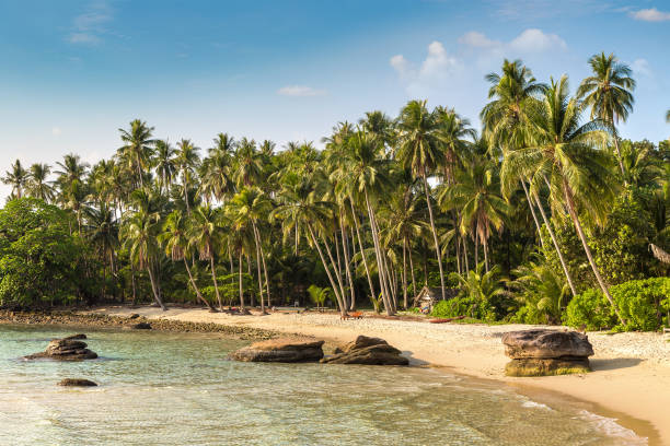 istock Tropical beach in a sunny day 1341928327