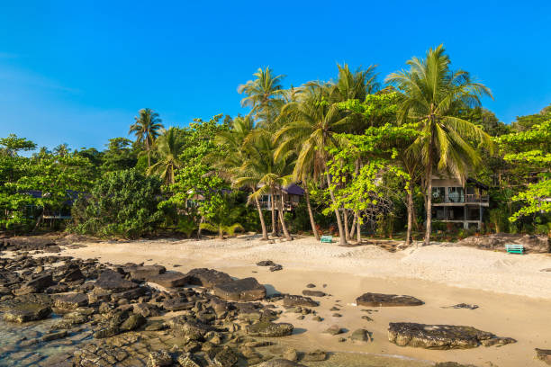 istock Tropical beach in a sunny day 1341928357