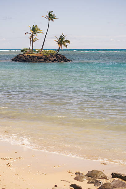 istock Small Island In Ocean With Sandy Beach Hawaii 134193308