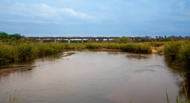 istock Railway bridge over a large river in Africa. 1341934094