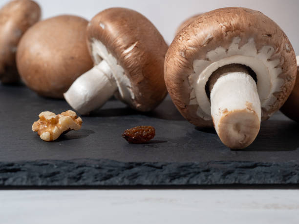 istock Champignons on Table. Mushrooms isolated on black background. 1341934450