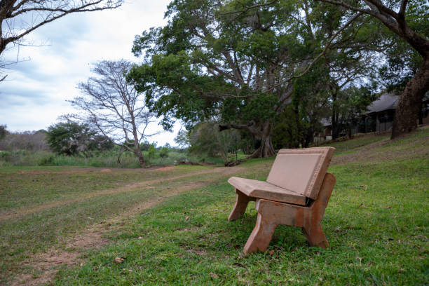 istock Bench in the park surrounded by large trees 1341937139
