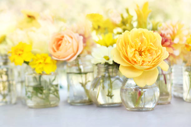 Delicate blossoming yellow rose flowers, blooming festive fall frame background, autumn bouquet floral card, shallow DOF, selective focus, toned