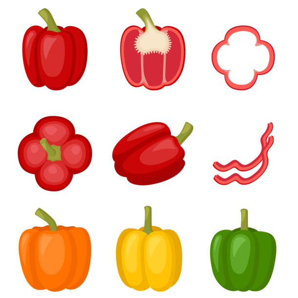 ilustraciones, imágenes clip art, dibujos animados e iconos de stock de pimientos rojos dulces, amarillos, naranjas, pimientos morrones. rodaja de pimienta, pimentón medio lleno, ilustración vectorial - pepper vegetable bell pepper red bell pepper