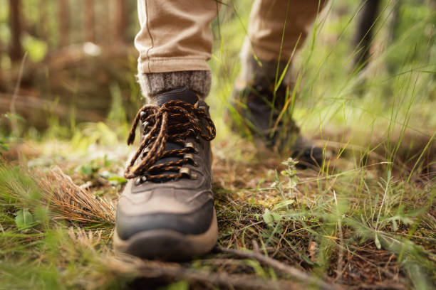 Close-up of hikers boots in the woods stock photo